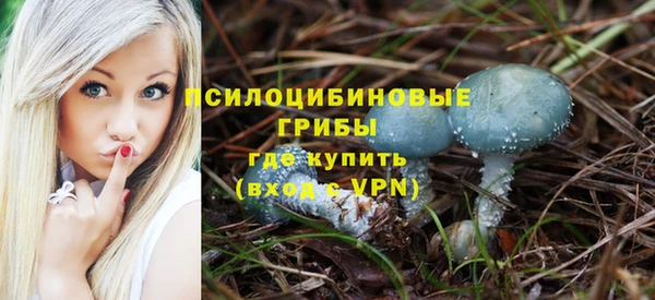 индика Абаза