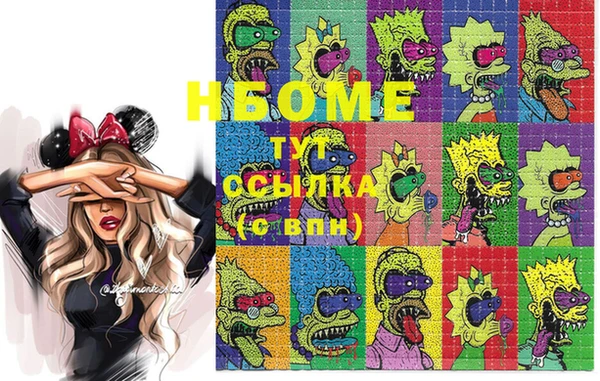 индика Абаза
