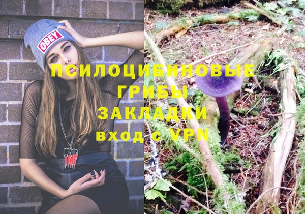 индика Абаза