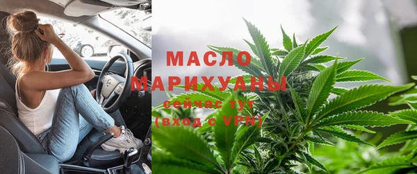 индика Абаза