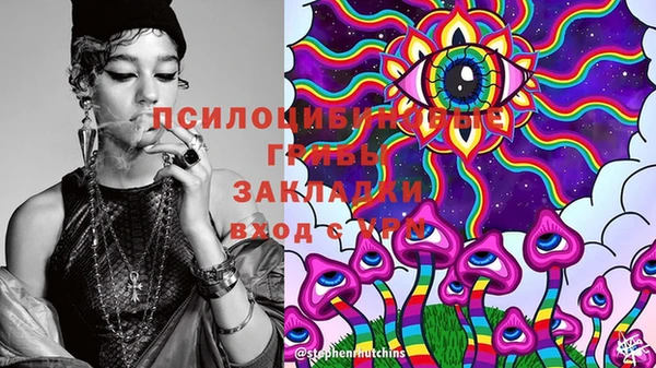 индика Абаза