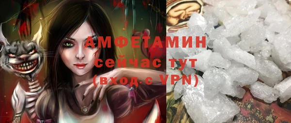 индика Абаза