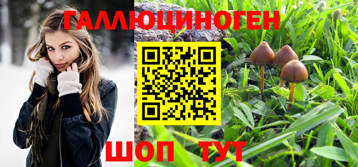 Псилоцибиновые грибы GOLDEN TEACHER  Вход с VPN  Химки 