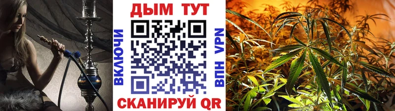 сколько стоит  Химки  Бошки марихуана гибрид 